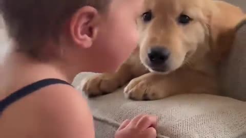 Disciplined Dog Plays Feeding Game With Baby Friend