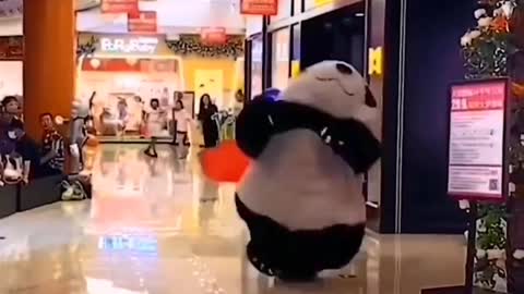 panda funny video