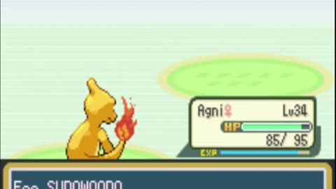 Kanto Complete - Shiny Fire Monotype, Episode 6: A Raging Inferno