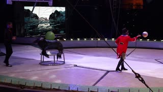 RUSSIAN CIRCUS FULL SHOW 4K_2