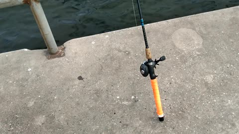 Shiner Fishing Setup