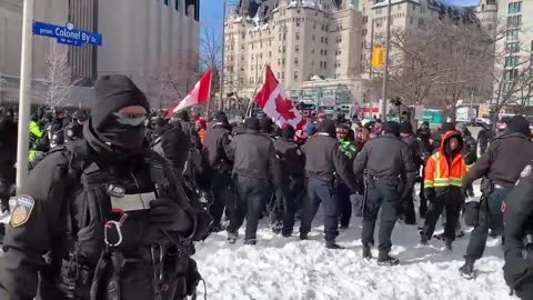 Canadian Police Throw Canadian Vet to Ground for Arrest