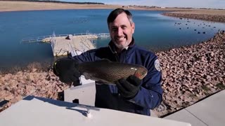 Trout 'Sighs' As Fisherman Pulls It Out Of Water