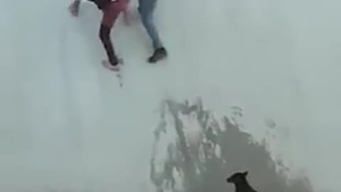 These total strangers rallied together to rescue a stranded dog.