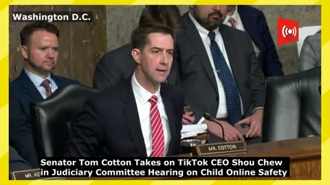 WATCH: Sen. Tom Cotton grilled TikTok CEO Shou Chew in Judiciary