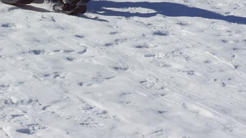 Big Funny Guy Races Down the Hill on A Plastic Sled