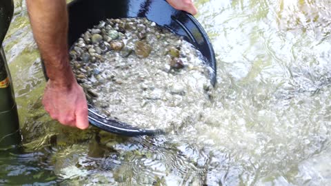 Extraction of gold from the sea