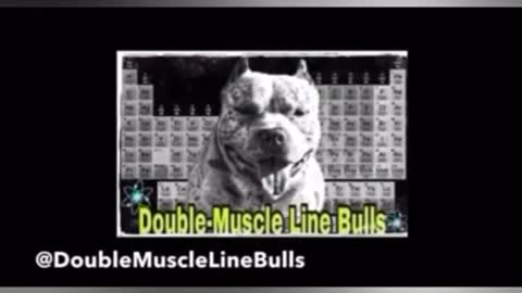 The importance of Subcutaneous fluids (Sub q Fluids) in dogs, puppies & stoping Dehydration‼️