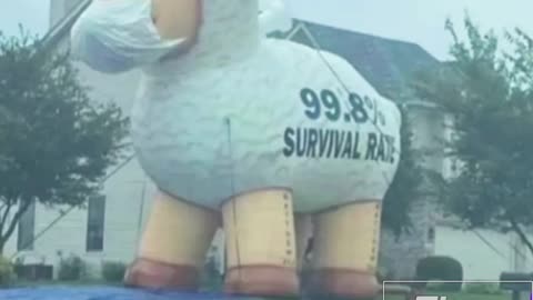 Giant Sheep Balloon With FACTS Printed On It