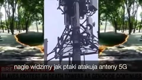 Dla zwolenników 5G