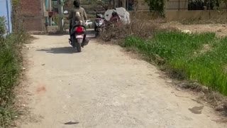 Pug Rides with on Scooter with Mom