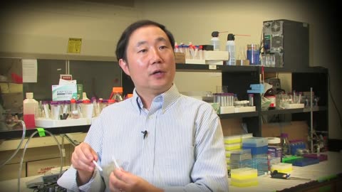 Synergy: Biosensors with Yi Lu (Using DNA to Detect Toxins) - BekmanInstitute (2010)