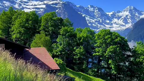 Summer Mountain 🏔 of Swiss Alps🇨🇭 📍Berner Oberland🇨🇭
