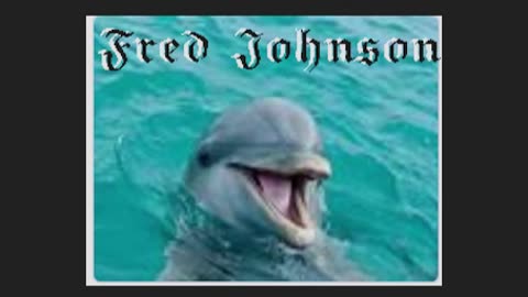 The Dolphin Blues - A Tribute to Flipper sung by Fred Johnson