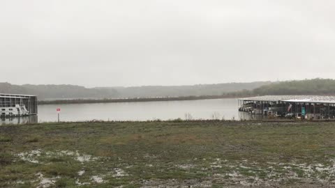 Kansas Lake with Geese, Pelicans, and Seagulls together