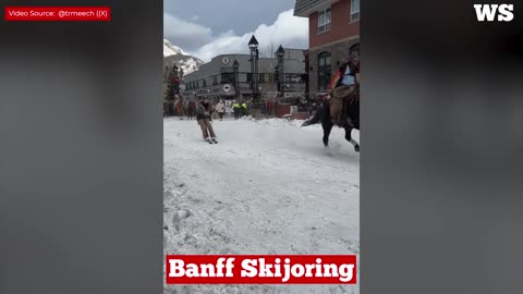 Skijoring in Banff, a perfect winter family event