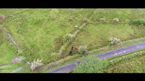 Irish Roads _ Irish Countryside - On the Road to Galway_Connemara - Northern Ireland #Ireland