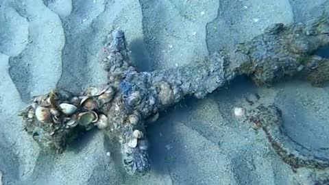 Israeli diver discovers a 900-year-old Crusader sword on Mediterranean seabed