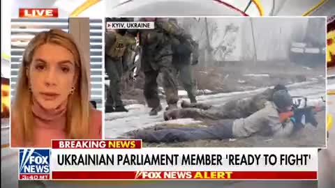 Ukraine government member says they fight for NWO