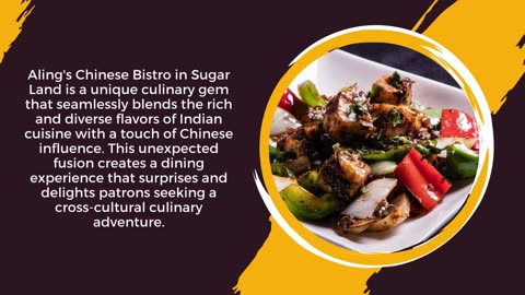 Best Indian Restaurant in Sugar Land - Alings Chinese Bistro