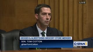 WATCH: Tom Cotton Gives Major CEO a Dose of Reality