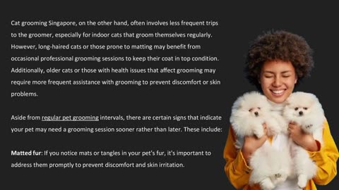 Dealing with Mats and Tangles: Regular Grooming Sessions — The Pets Workshop