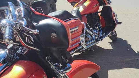 Matching Harley Davidsons