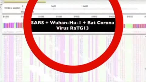 Virus Myth Busted in 19 Minutes