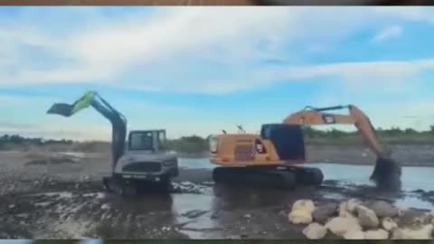 Cat & Excavator funny Bath