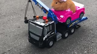 Guinea pig tow truck
