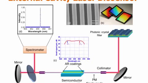 IEEE SENSORS: Photonic Crystal Biosensors