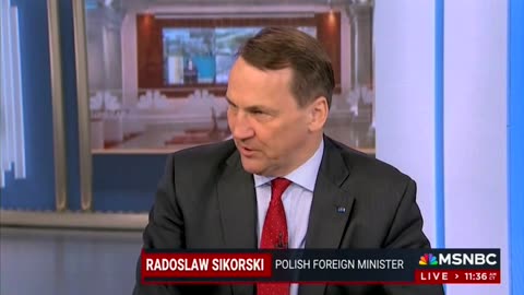 MSNBC Anchor Tries Teeing Up Poland Official For Trump Drunk