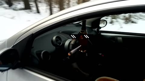 Alcohol and car driving
