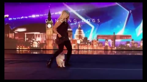 DANCING DOGS!