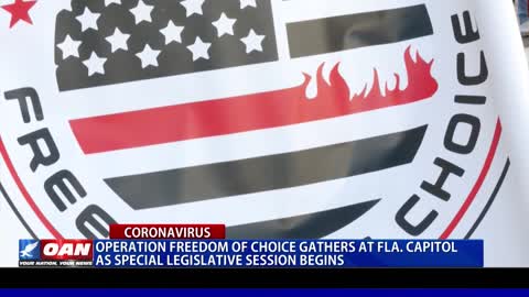 Operation Freedom of Choice gathers at Fla. capitol as special legislative session begins