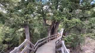 Yellowstone Virtual Tour