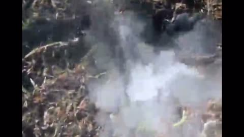 Mysterious Smoke Comes Up Through the Lawn