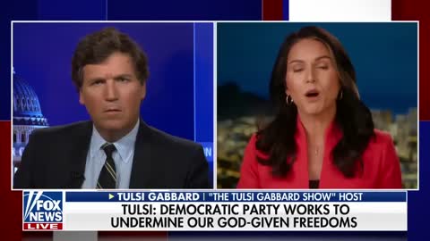 Tulsi Gabbard Goes Off In Tucker Interview