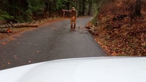 Bear Roadblock on back country in BC. Will they Attack!?