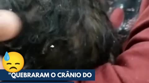 Cranio Quebraram o cranio de meu filho!