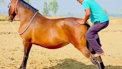 Man mounting a horse