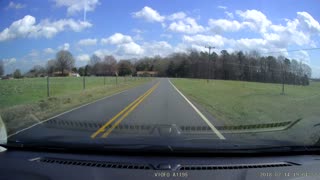 Deer Crashes into Fencing