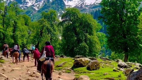 Kashmir valley | kashmir tourism | nature video