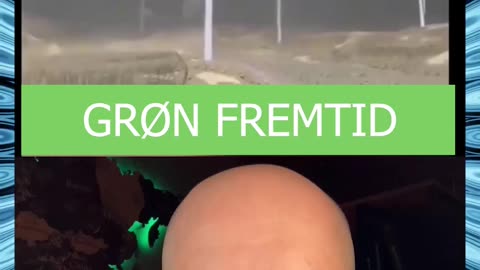 GRØN FREMTID?