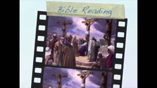 August 6th Bible Readings