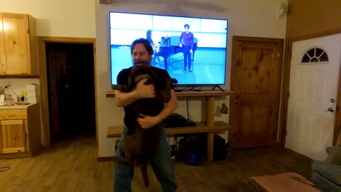 Dances with Moose