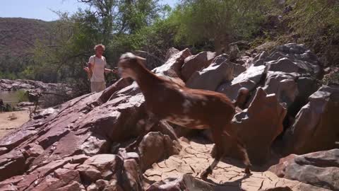 Crocodiles & Snakes of the Mighty Kunene River