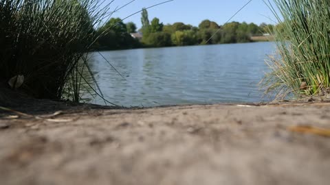 🎬 Lake 🌌 NatureCreative Common Video