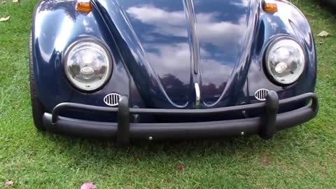 Mild Custom Volkswagen Beetle