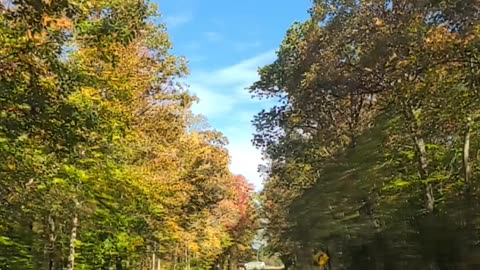 The Road To Autumn- In Slow Motion
